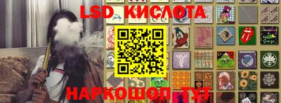 крисы Кимры