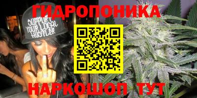 МДМА Кингисепп