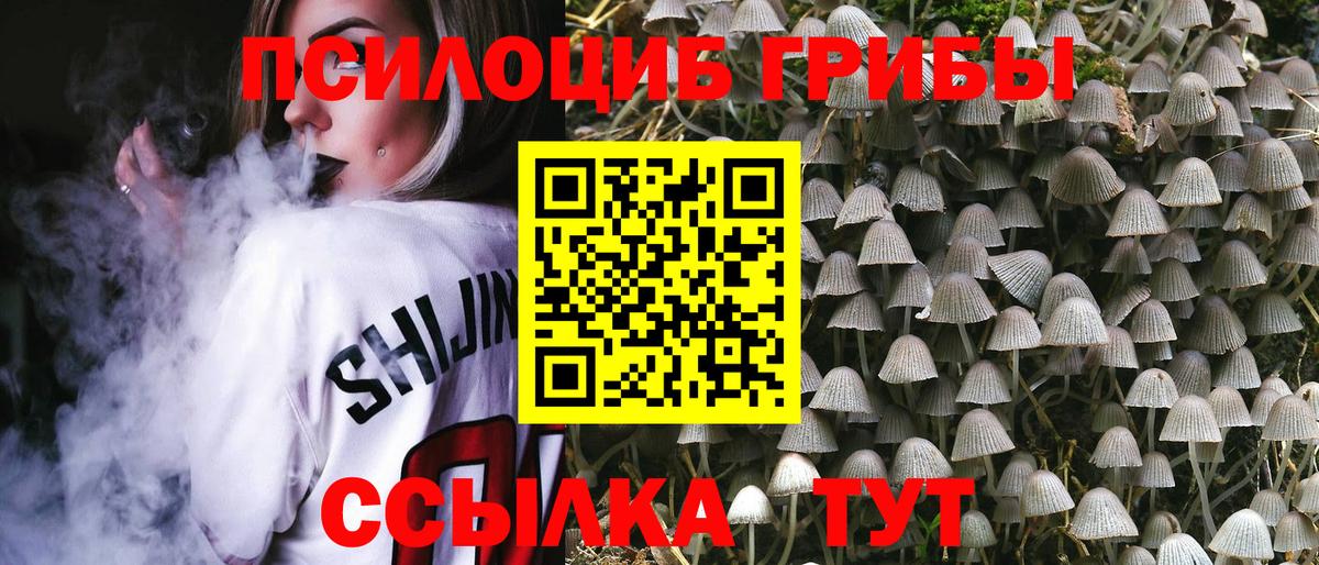 Псилоцибиновые грибы прущие грибы Королёв