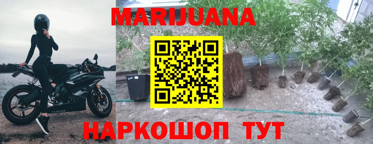 Меф   Королёв  MDMA  Вход с VPN  Марихуана  ГАШ 